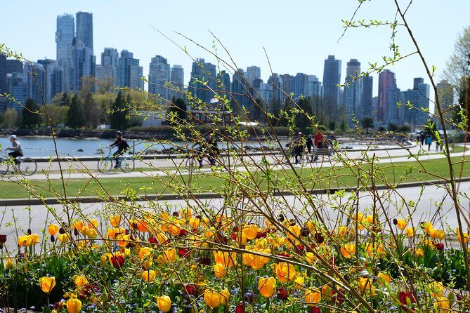 Vancouver Hop On Hop Off Trolley Tour - Stanley Park by trolley: Rose Garden to Second Beach (Stops 4–12)