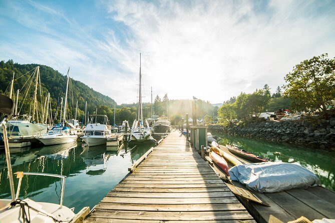 Vancouver Jetski Tour with Dinner on Bowen Island - The wildlife moment: seal colony photos and calm attention