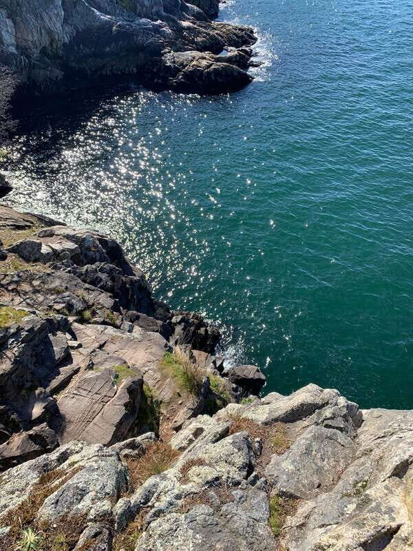 Vancouver: Lighthouse Park Hike - Key Highlights at a Glance