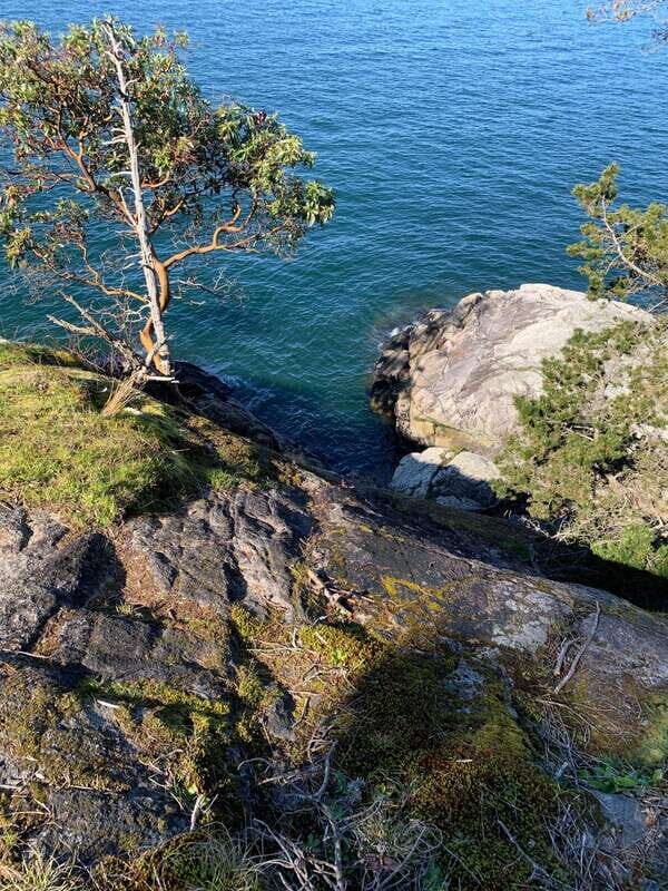 Vancouver: Lighthouse Park Hike - Why Lighthouse Park Feels Different From the Usual Vancouver Hike