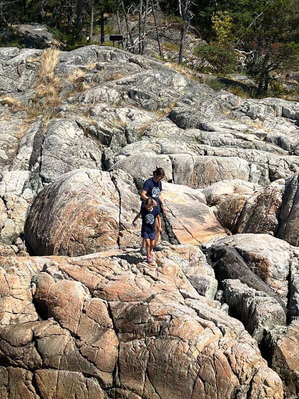 Vancouver: Lighthouse Park Hike - The Picnic-Style Break: Food Isn’t Included, But Snacking Still Happens