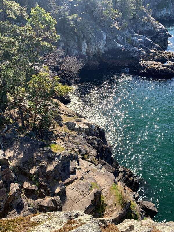 Vancouver: Lighthouse Park Hike - The Scenic Drive: Stanley Park, Lions Gate Bridge, and West Vancouver