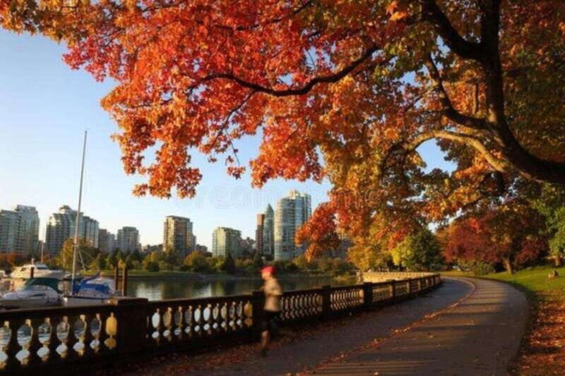 Vancouver : Must-See Attractions Walking Tour With A Guide - Stanley Park and Prospect Point: The Views Are the Point