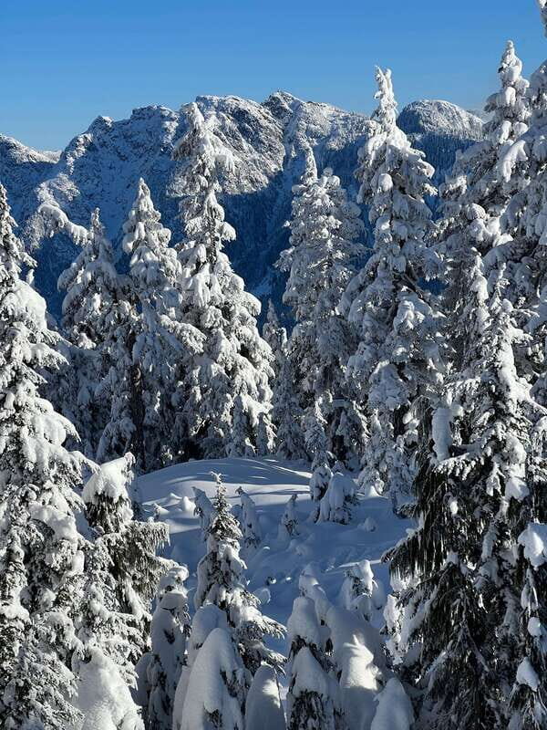 Vancouver: North Shore Mountains Snowshoeing with Transfer - FAQ