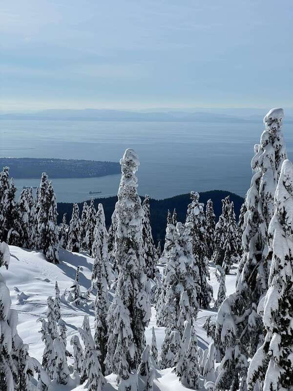Vancouver: North Shore Mountains Snowshoeing with Transfer - Gear and Clothing: What’s Provided, What You Must Bring