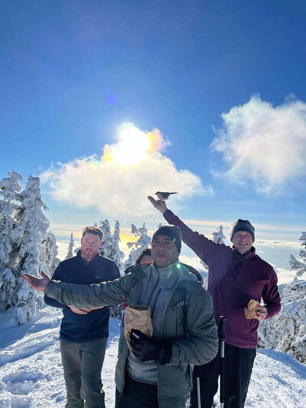 Vancouver: North Shore Mountains Snowshoeing with Transfer - Weather, Safety, and Who Should Take This (and Who Should Skip It)