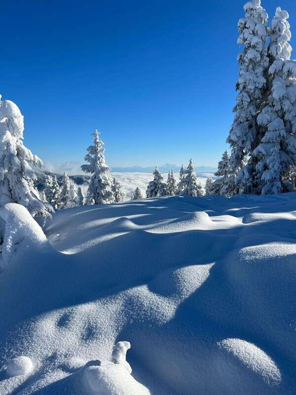 Vancouver: North Shore Mountains Snowshoeing with Transfer - Practical Tips to Get the Most Out of Your Snowshoe Day