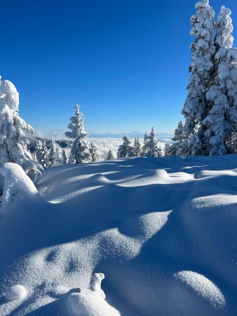 Vancouver: North Shore Mountains Snowshoeing with Transfer - Should You Book This Vancouver North Shore Snowshoeing Tour?