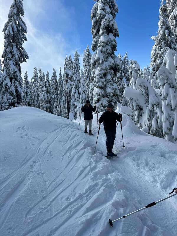 Vancouver: North Shore Mountains Snowshoeing with Transfer - Your Guide, Your Pace: What the Best Parts Feel Like on Snow