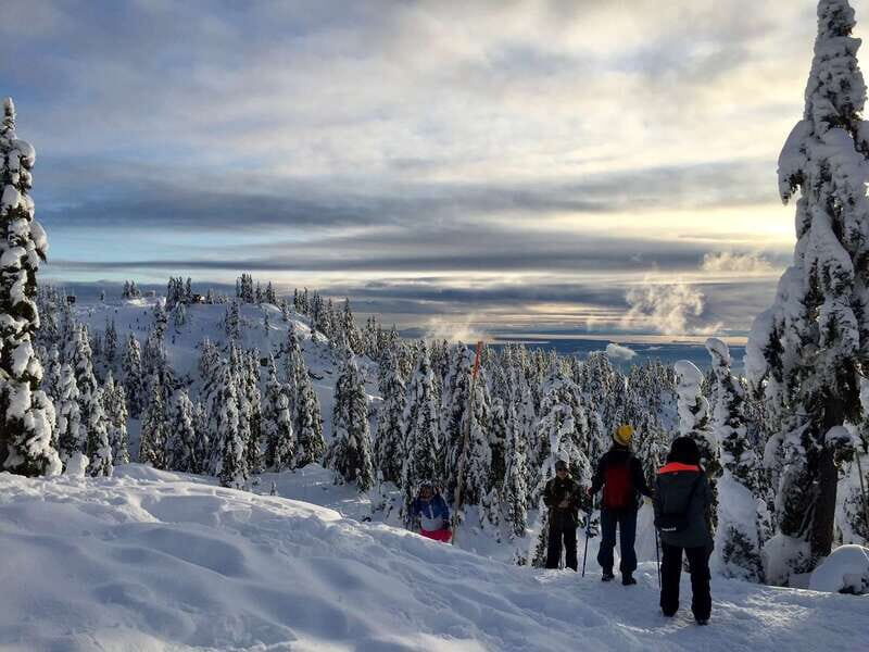 Vancouver: Panoramic View Hiking Tour - Key highlights you’ll feel right away