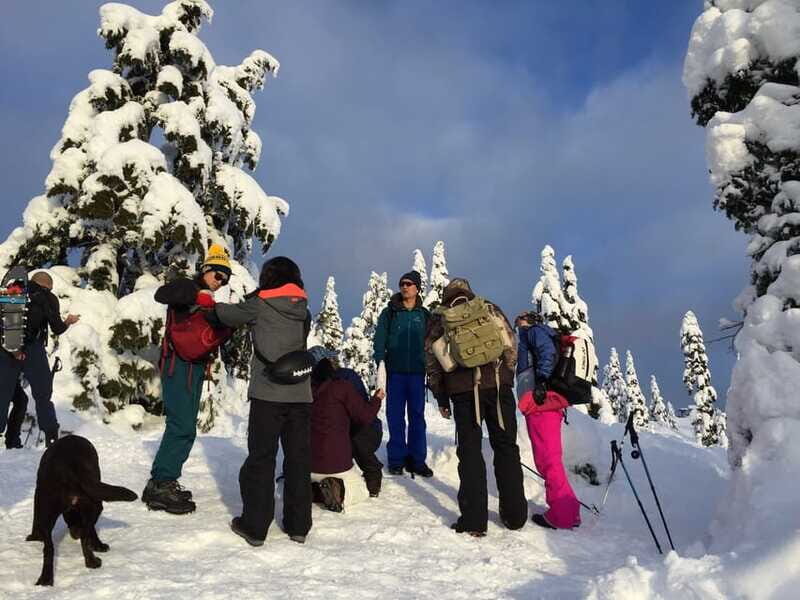 Vancouver: Panoramic View Hiking Tour - Timing: making 6 hours feel like a full Vancouver story