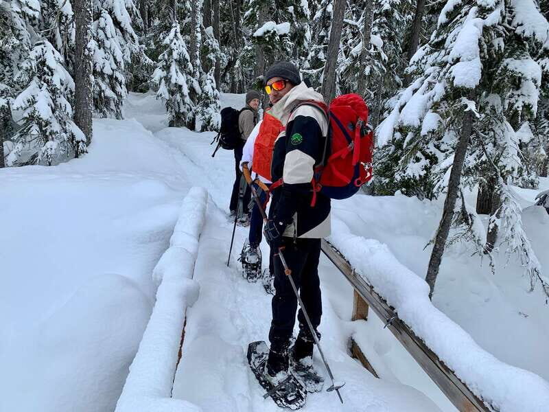 Vancouver: Panoramic View Hiking Tour - The forested climb: steady hiking with a view payoff