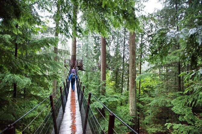 Vancouver Premium Tour: Capilano Bridge + Grouse Mountain Lunch - Capilano Suspension Bridge Park: the 450-foot wow factor