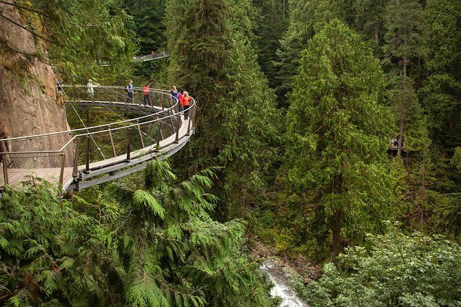 Vancouver Premium Tour: Capilano Bridge + Grouse Mountain Lunch - Why this tour feels like value at $279 per person