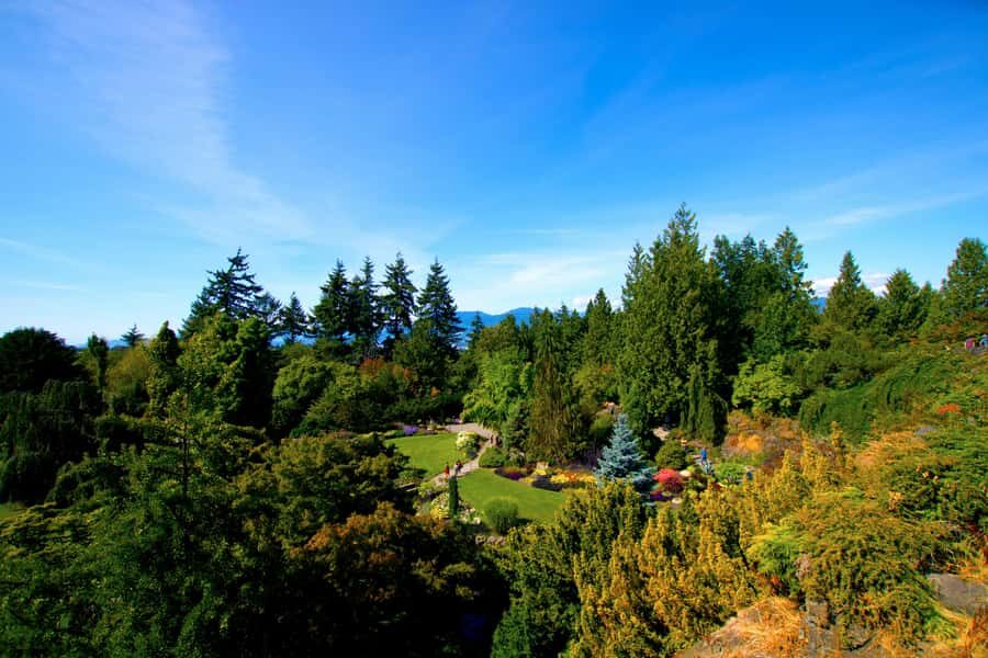 Vancouver: Private City Sights Tour by Minibus (3hrs) - Price and value for a group up to 14