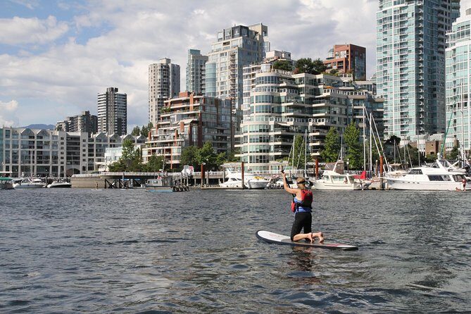 Vancouver Private Tour - Stanley Park Time: Big Views Without the Planning