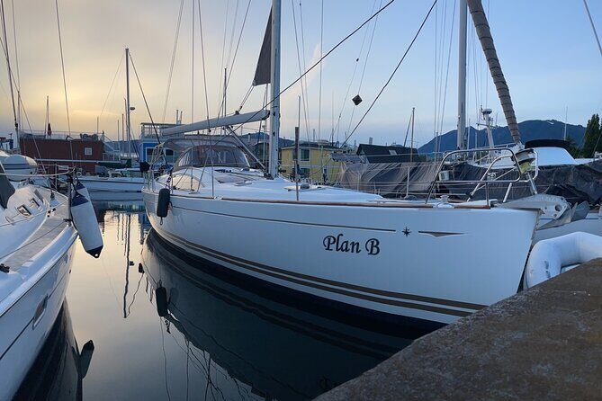 Vancouver Sailing Experience on a 50 foot Sailboat - Wildlife Moments: Seals, Porpoises, Birds, and Sometimes Whales