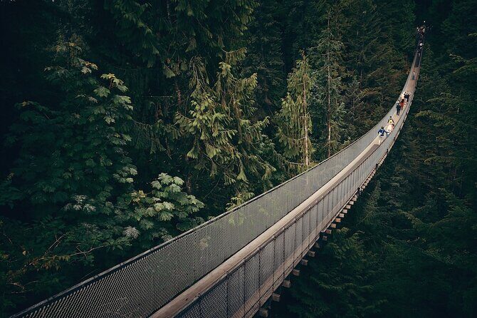 Vancouver Small Group Night Tour w/Capilano + Grouse Mtn Dinner - Stanley Park Drive: Ocean Views and Rainforest Vibes From the Road