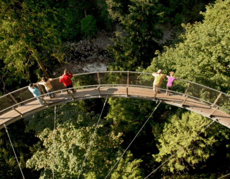 Vancouver: Small Group Tour w/Capilano & Grouse Mtn Lunch - Who should book this tour (and who should look elsewhere)