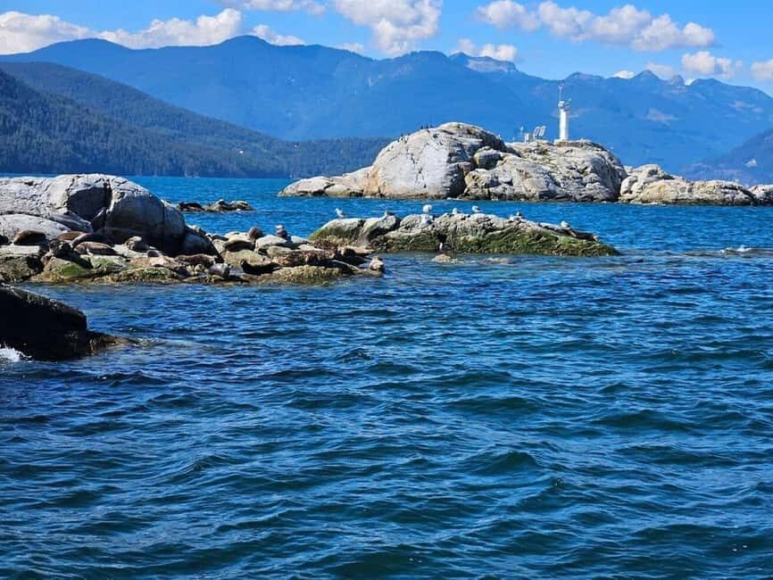 Vancouver: Snorkel, Kayak, and Seal Adventure Boat Tour - From Vancouver to Horseshoe Bay: the ride starts the adventure