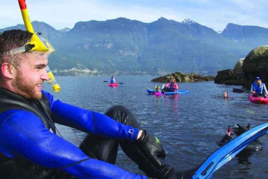 Vancouver: Snorkel, Kayak, and Seal Adventure Boat Tour - Meeting the harbor seals at Pam Rocks: how close you get, and how you stay respectful