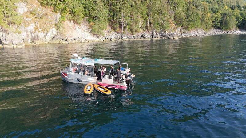 Vancouver: Snorkeling Seals Kayaking Scenic Boat Tour - The Boat Cruise Portion: Views Plus Wildlife Commentary