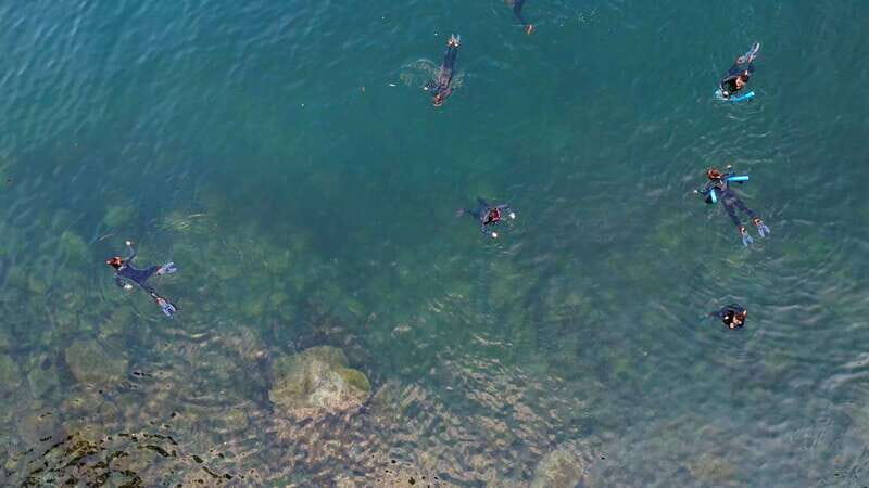 Vancouver: Snorkeling Seals Kayaking Scenic Boat Tour - Guides on the Water: What You’ll Feel in the Group