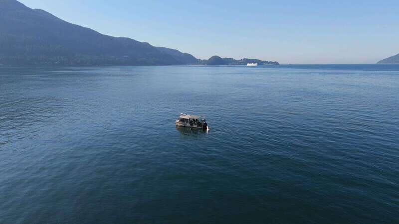 Vancouver: Snorkeling Seals Kayaking Scenic Boat Tour - What You Should Bring (And What the Tour Handles)