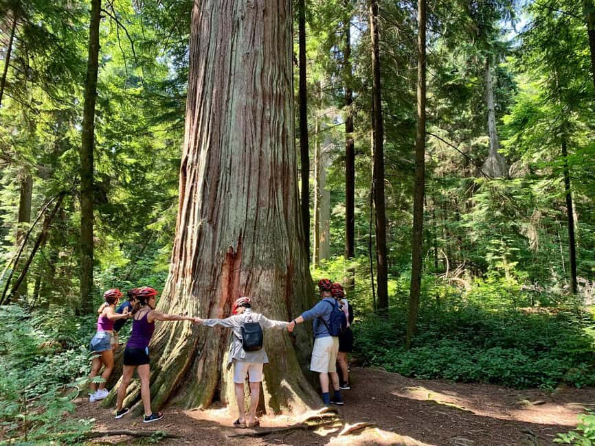 Vancouver: Stanley Park Bike Tour | E-Bike Upgrade Avail. - The Seawall Stretch: views you’ll understand fast