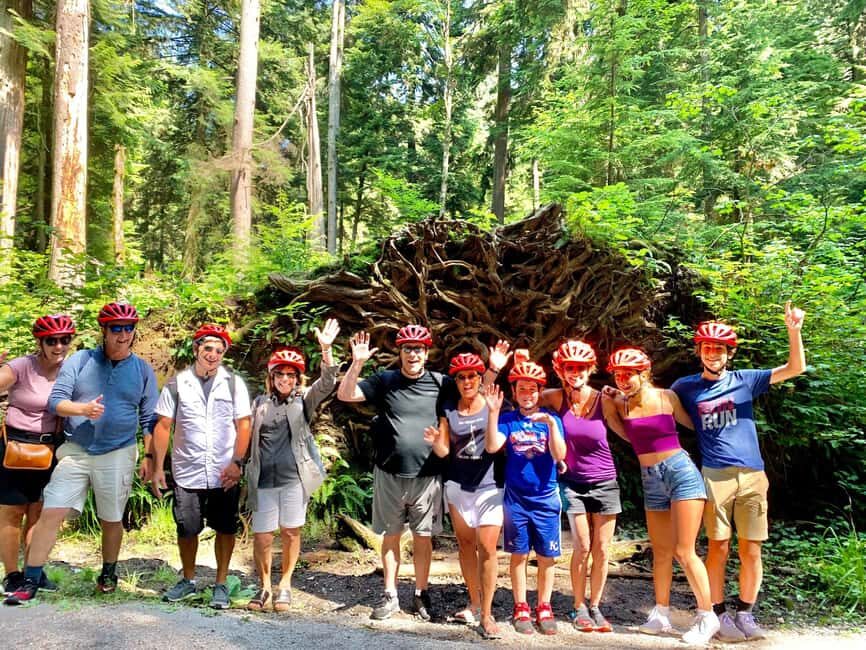 Vancouver: Stanley Park Bike Tour | E-Bike Upgrade Avail. - Vancouver Harbour and the West End: city energy without the rush