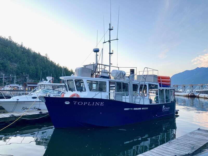 Vancouver: Sunset Boat Cruise with Complementary Bubbly - Your 2-Hour Rhythm: Horseshoe Bay to Cliff Views and Salish Sea Reflections