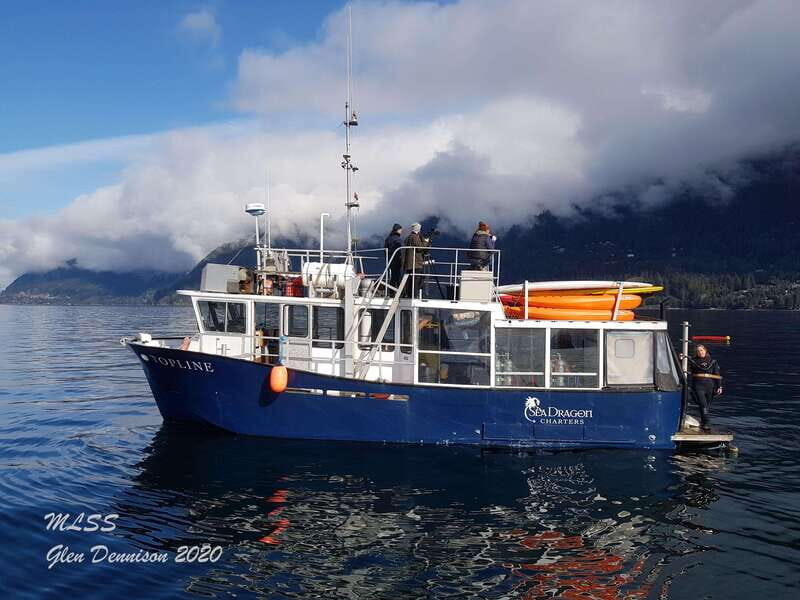 Vancouver: Sunset Boat Cruise with Complementary Bubbly - Safety, Expectations, and One Booking Caution