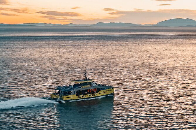 Vancouver Sunset Whale Watching Adventure with Free Photos - From Granville Island waters to whale country