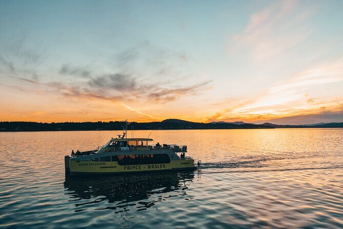 Vancouver Sunset Whale Watching Adventure with Free Photos - On board the Salish Sea Catamaran: comfort that matters