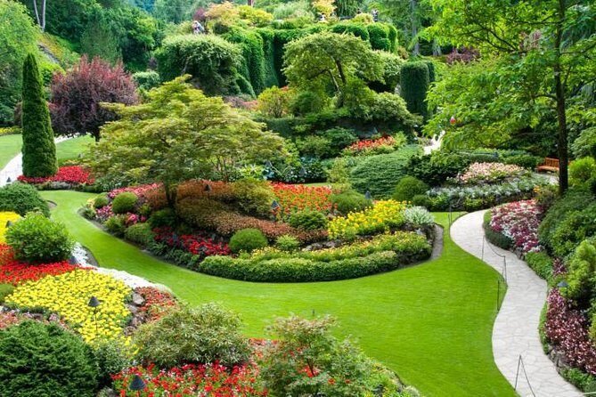 Vancouver to Victoria Day Trip by Seaplane + Butchart Gardens - Harbour Air check-in at Coal Harbour: what to expect before you fly