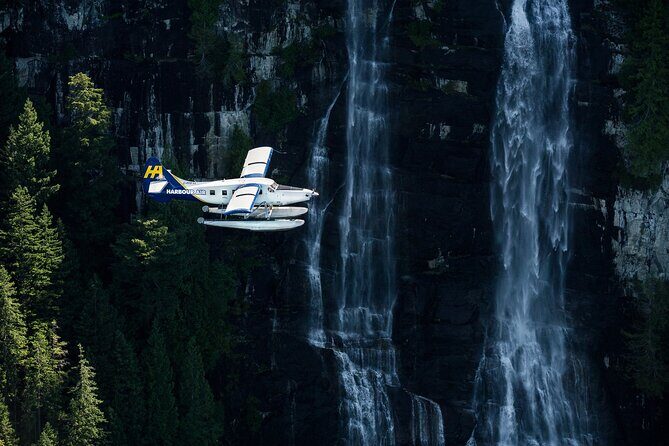 Vancouver to Whistler Seaplane Day Trip: Self-Guided Adventure - Price and Value: Is $375.38 Worth It?