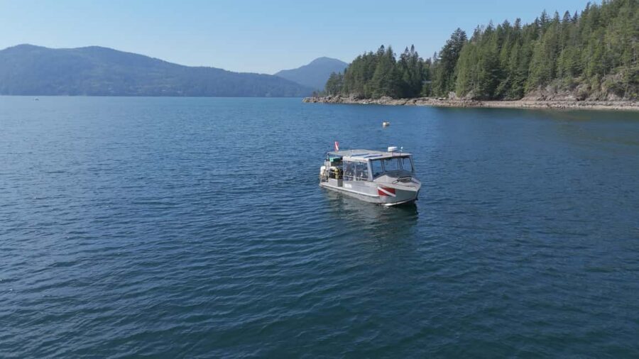 Vancouver UNESCO Biosphere Reserve Wildlife Scenic Boat Tour - Two hours in Howe Sound: what the cruise is like