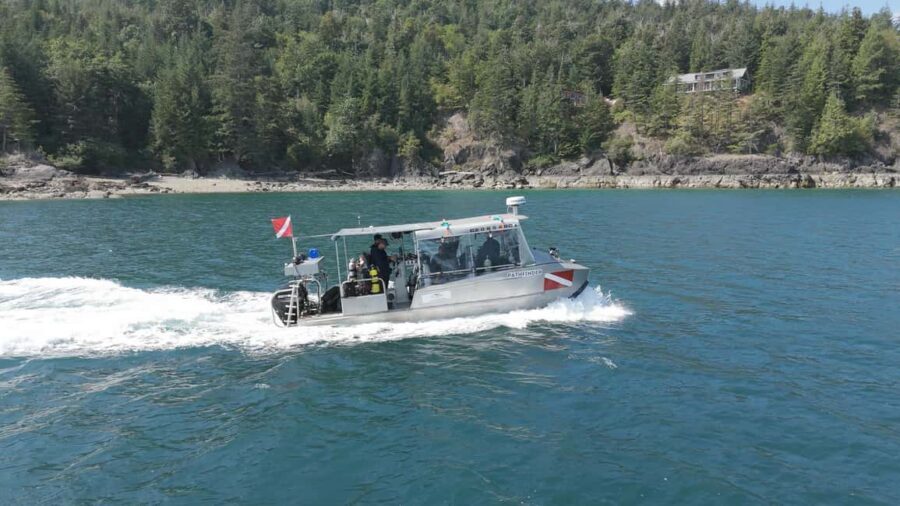 Vancouver UNESCO Biosphere Reserve Wildlife Scenic Boat Tour - Price at $87: what you’re paying for and where it’s a good deal