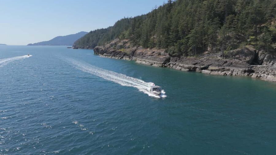 Vancouver UNESCO Biosphere Reserve Wildlife Scenic Boat Tour - Weather reality: covered comfort with openings for the action