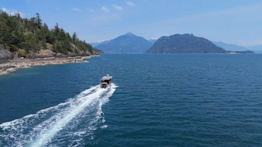 Vancouver UNESCO Biosphere Reserve Wildlife Scenic Boat Tour - Wildlife spotting that feels realistic: whales, seals, and birds