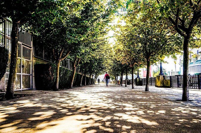 Vancouver Walking Tour: Explore Top Sights & Hidden Gems - Who this walking tour suits best