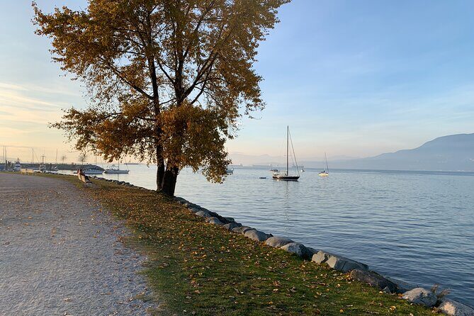 Vancouver Waterfront Guided Bike / Ebike Tour - Pickup, Timing, and What the Day Feels Like