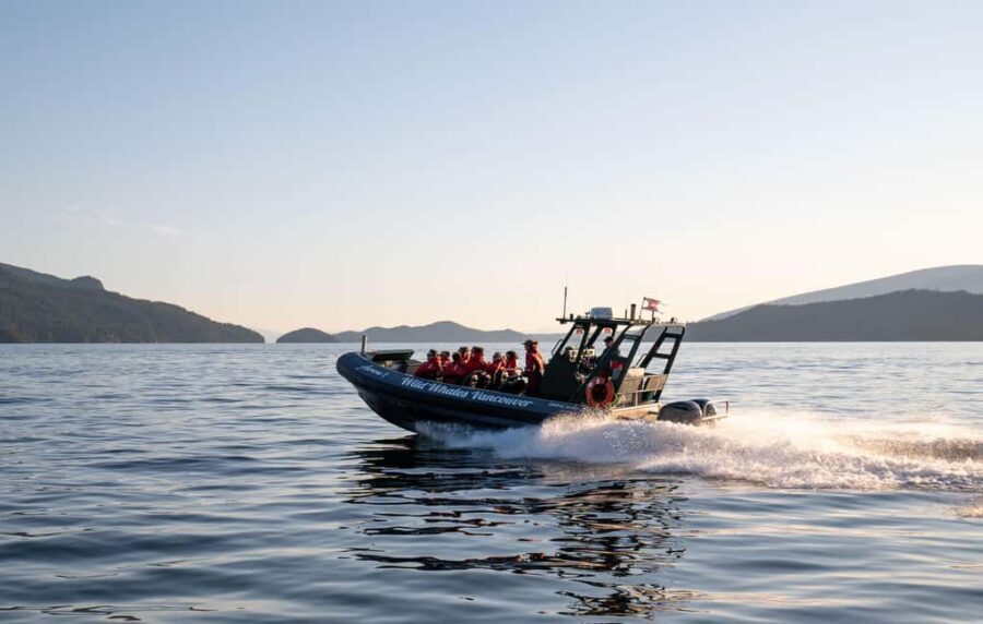 Vancouver: Zodiac Whale Watching Tour from Granville Island - Key things to know before you go