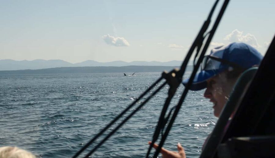 Vancouver: Zodiac Whale Watching Tour from Granville Island - My Booking Advice: What to Bring, How to Plan the Day, and the Whale Sighting Guarantee