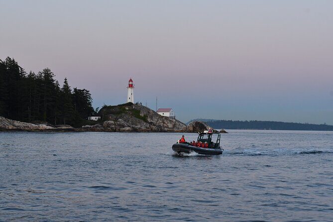 Vancouver's Intimate West Coast Whale Watching Experience - Small-group zodiac-style cruising and a guide who talks marine life