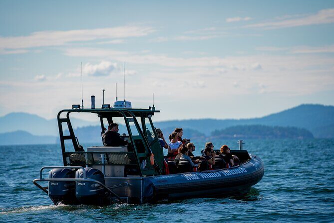 Vancouver's Intimate West Coast Whale Watching Experience - How long this really takes: flexible 3 to 5 hours on whale time