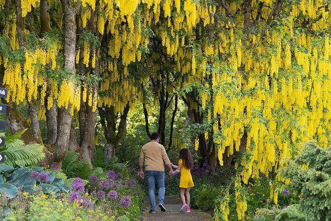 VanDusen Botanical Garden Admission Ticket - VanDusen Botanical Garden admission for $8.82: value that makes sense