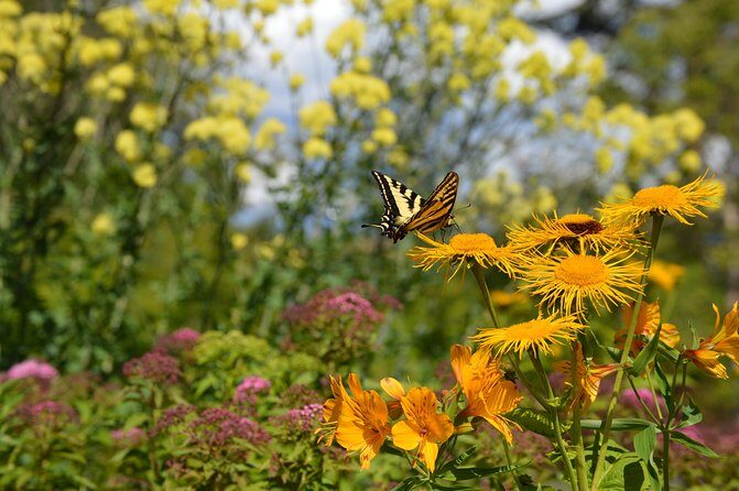 VanDusen Botanical Garden Admission Ticket - 7,500 species: how the plant experience actually feels