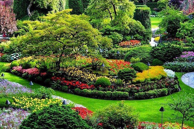 Victoria 1-Day Tour From Vancouver (Butchart Gardens) (Chn&Eng) - Inner Harbour in Short Form: What You Can Do With 45 Minutes