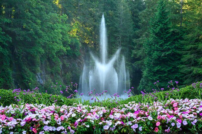 Victoria and Butchart Gardens, an Elevated Experience - Key points to know before you go